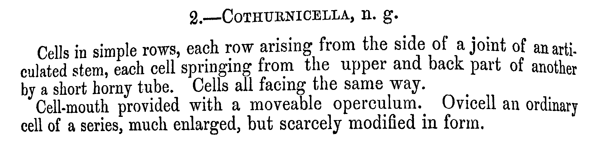 Cothurnicella genus definition