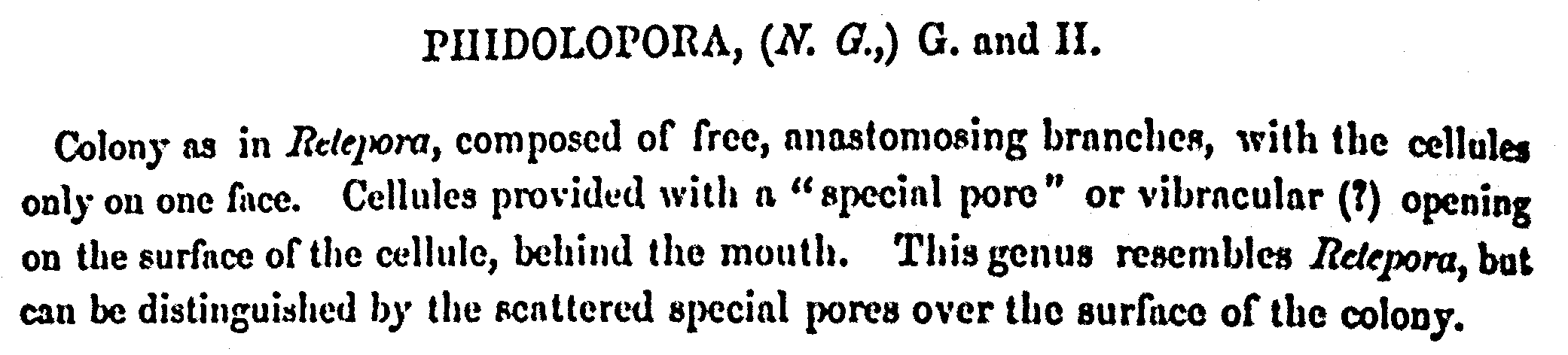 Gabb & Horn genus definition